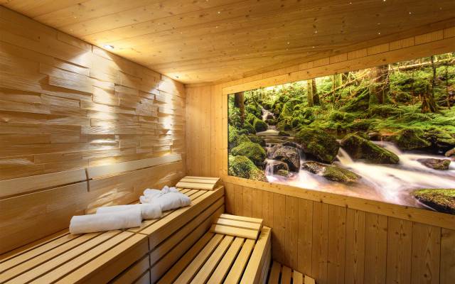 Kết quả hình ảnh cho luxury sauna