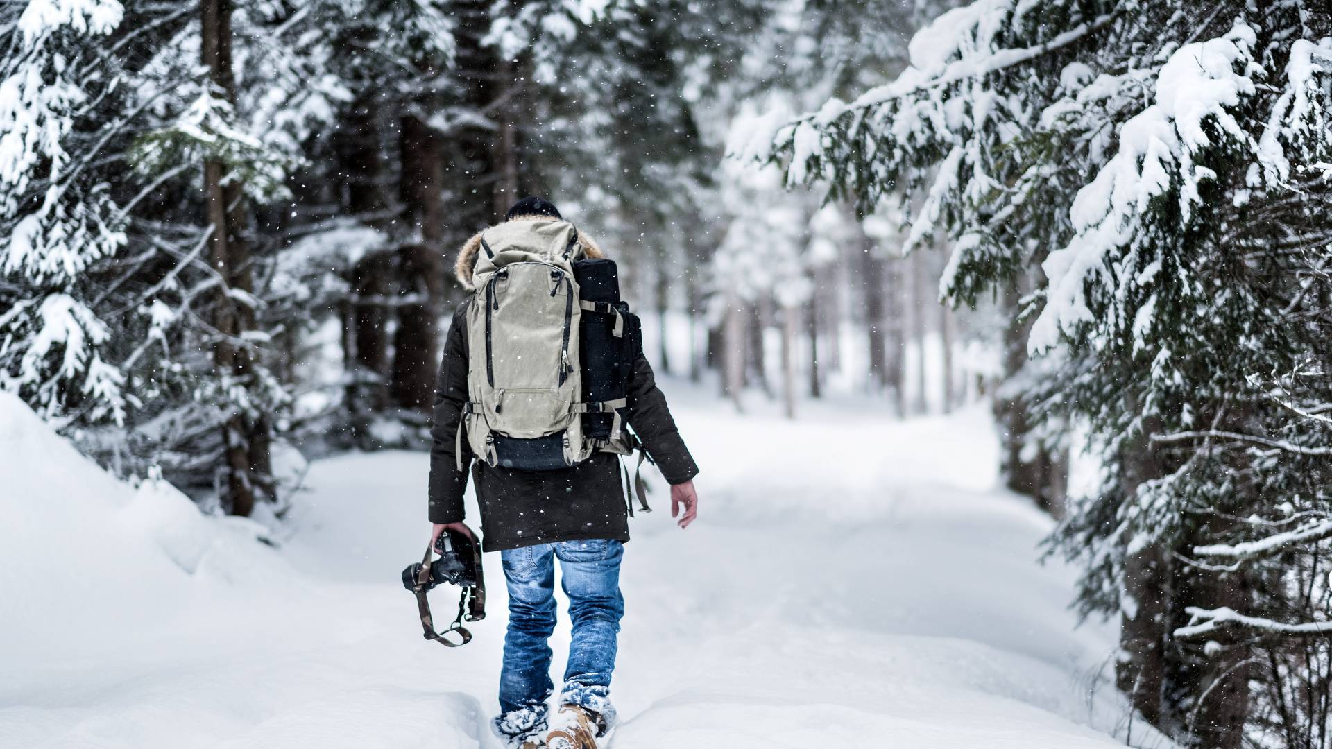 Winterwandern im Schwarzwald